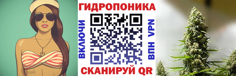 Где купить Пучеж МЕГА зеркало  ГАШ  СОЛЬ  Амфетамин 