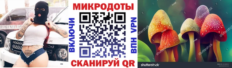 Псилоцибиновые грибы мухоморы Пучеж