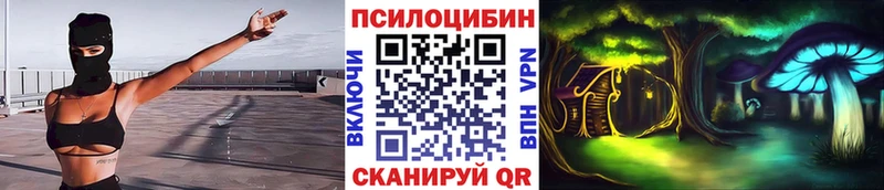 Галлюциногенные грибы мицелий  Пучеж 